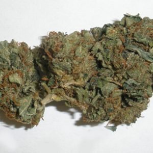 medical marijuana florida recreational marijuana states percy hervin marijuana