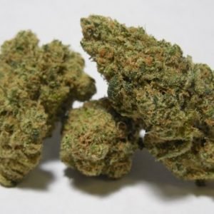 medical marijuana florida recreational marijuana state