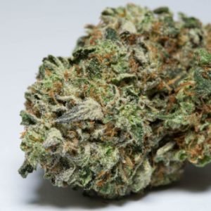 Rockstar Cannabis (AAA) Sativa Sales online Rockster